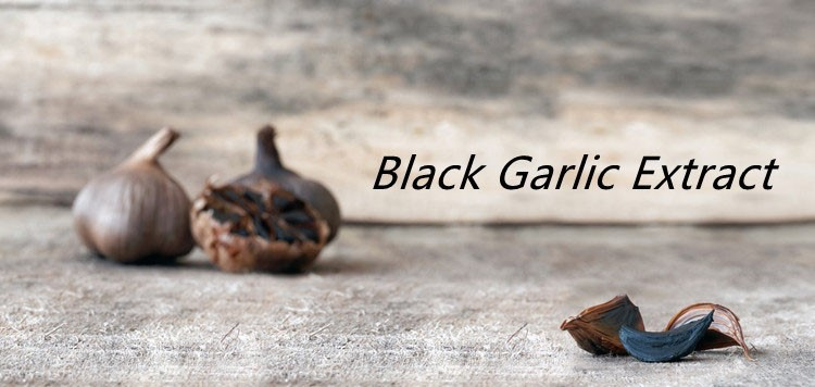 Black Garlic Extract Powder.png